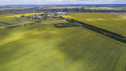 aerial view agriculture field summer day. Summer day landscape. 