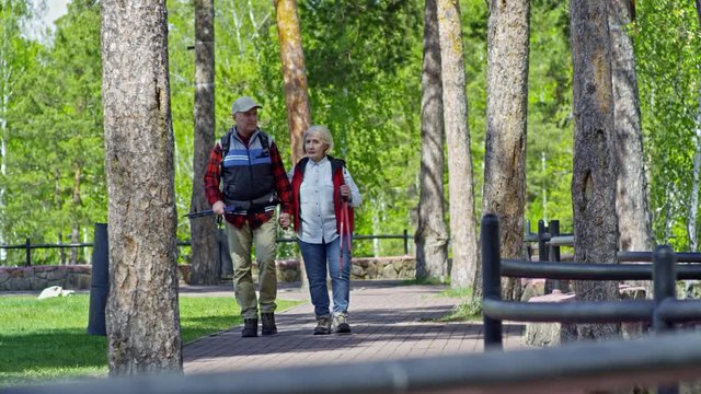 PAN of chatting elderly woman and her senior husband carrying trekking poles and holding hands while walking in park with lush greenery