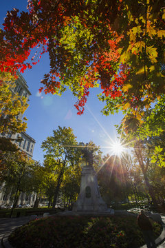 Montreal, Dorchester Square, In Autumn