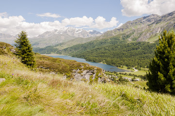 Fototapeta na wymiar Maloja, Via Engiadina, Wanderweg, Höhenweg, Silsersee, Isola, Oberengadin, Alpen, Graubünden, Sommer, Schweiz