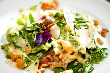 Caesar salad on a plate