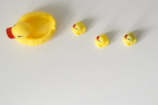 Bath toy row of yellow ducks on white background
