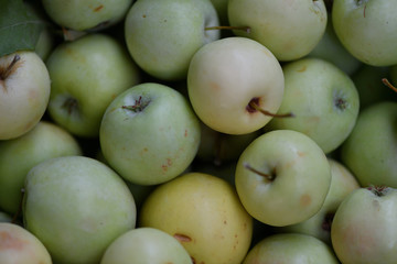 Frisches Obst