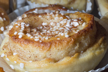 Cinnamon Roll Close Up