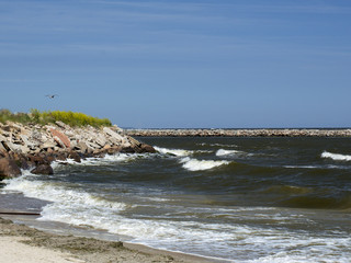 Fototapeta na wymiar Baltic sea coast. 