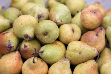 Yellow pears at farmers market, Chile, South America
