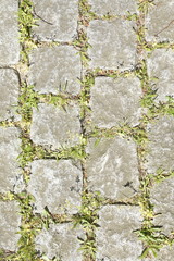 Strassenplaster