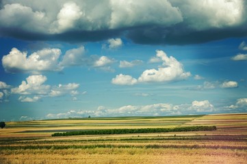 the landscape of polish flat lands countryside