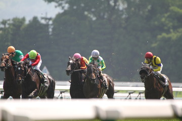 競馬場