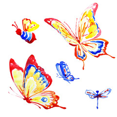 beautiful color  butterflies,watercolor,isolated on a white