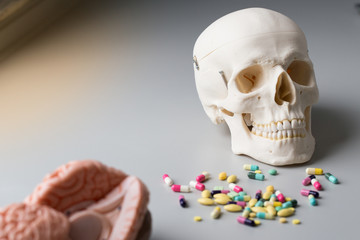 Skull model, Pharmaceutical Drugs and Heart health for education in laboratory.