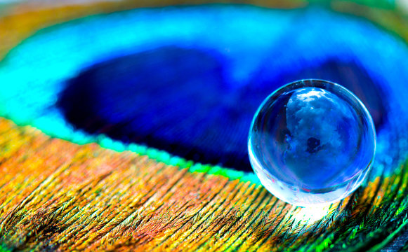 Water gel balls at peacock feathers. Beautiful transfusion of light and colors in the middle of the hydrogel.