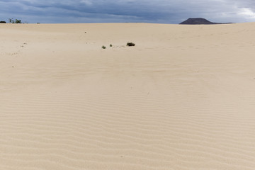 Fototapeta na wymiar Sand dunes, Fuerteventura