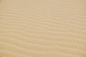 Fototapeta na wymiar Sand dune, close up