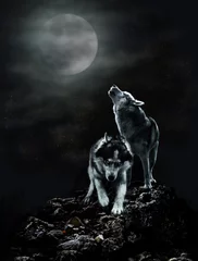 Papier Peint photo autocollant Loup Une paire de loups sur une nuit noire et la lune