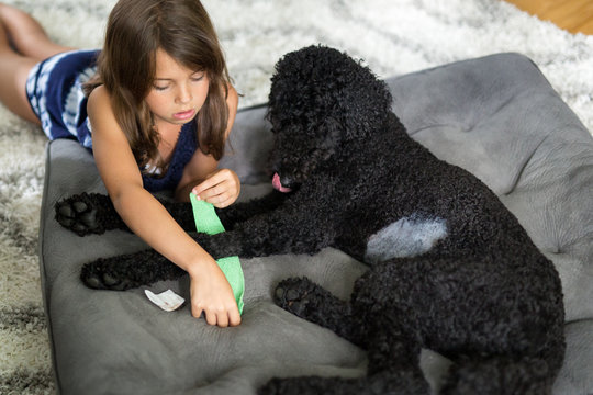 Girl nursing dog
