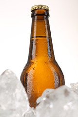 Bottle of beer in ice. Close up. White background