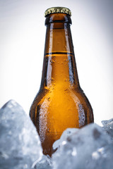 Vignette photo of beer in ice. Close up. White background