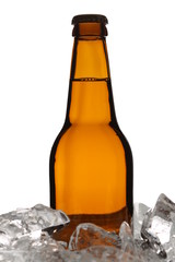Ale in ice. Close up. White background