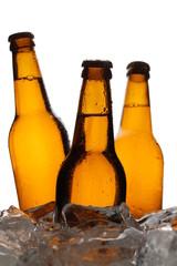 Three bottles of beer in ice. Close up. White background