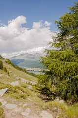Fototapeta na wymiar Maloja, Sils, Via Engiadina, Wanderweg, Höhenweg, Silsersee, Wanderer, Oberengadin, Alpen, Graubünden, Sommer, Schweiz 
