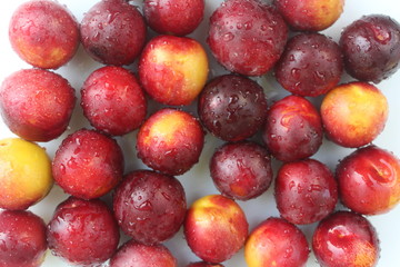 Plums on the table