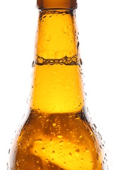 Bottle of ale with drops. Close up. White background