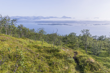Fototapeta na wymiar trail for hiking in nature, Senja, Norway