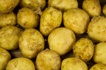 Raw new potato background