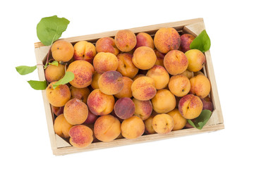 Top view wood box with apricots on a white background