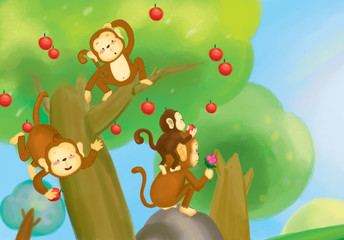 Obraz na płótnie Canvas Monkeys