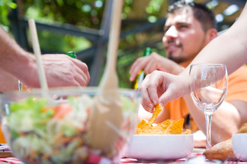 Friends enjoying picnic day

