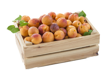 side view wood box with apricots on a white background