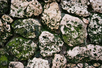 Old concrete wall as background. concrete wall background texture and mold