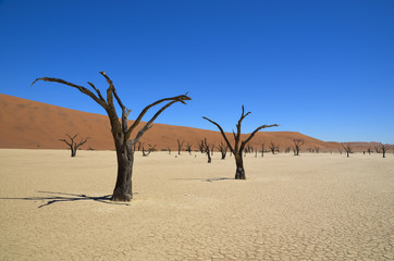 NAMIBIA - W&uuml;sten dieser Welt