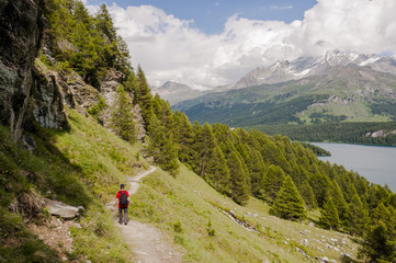 Fototapeta na wymiar Sils, Via Engiadina, Wanderweg, Höhenweg, Silsersee, Wanderer, Oberengadin, Alpen, Graubünden, Sommer, Schweiz