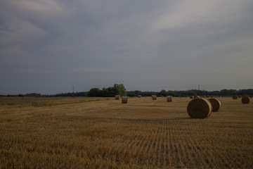 Fototapeta premium hay bales