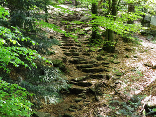 Fototapeta premium Stone Stairs - Bavarian Forest