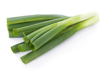 Green Japanese Bunching Onion on white background