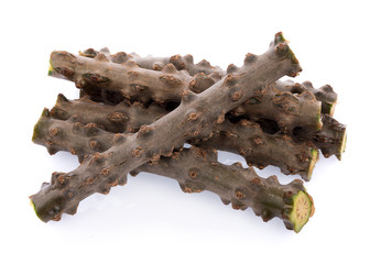 Tinospora Cordifolia isolated on white background