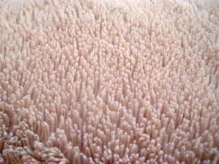 Faux fur texture closeup