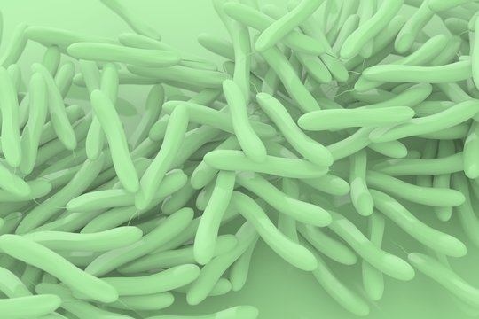 Cholera Bacteria Macro Abstract 3d Illustration