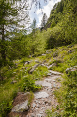 Fototapeta na wymiar Maloja, Via Engiadina, Wanderweg, Höhenweg, Grevasalvas, Oberengadin, Alpen, Graubünden, Sommer, Schweiz