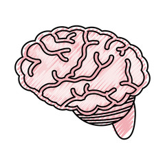 Human brain symbol