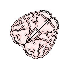Human brain symbol