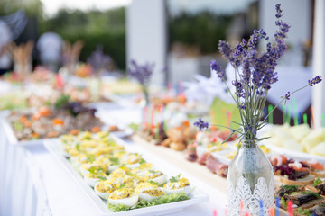 On a white table appetizing appetizers of stuffed eggs, vegetables, different kinds of sandwiches and a beautiful glass vase with blue wildflowers