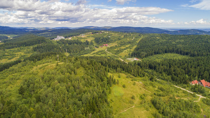 Obraz premium aerial view agriculture field summer day. Summer day landscape. 