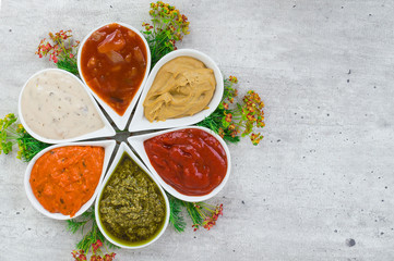 Top view on a set of sauces on a light gray stone background with a copy place and fresh herbs.