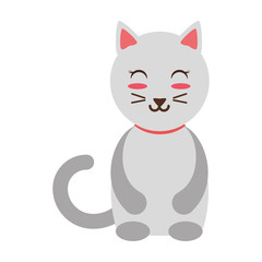 Cute cat cartoon