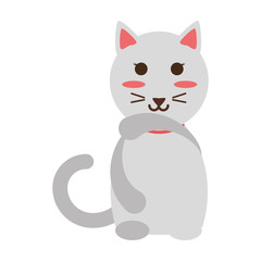 Cute cat cartoon